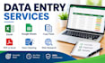 do accurate data entry and copy paste in excel