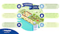 design eye catching infographics