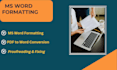 format and edit your ms word document professionally