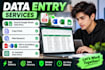 accurate data entry and web search