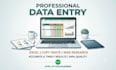 do profesional data entry