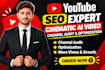 youtube SEO expert cinematic ai video channel audit optimization