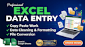 do expert excel data entry and copy paste work