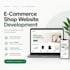 make an ecommerce website with promo code feature and admin panel
