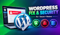 fix wordpress errors, bugs, and security issues