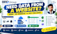 scrape any website and deliver the data
