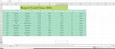 create professional spreadsheets and data entry