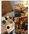 design professional canva social media posts and graphics