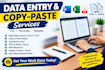 do accurate data entry ,copy paste, and web research work