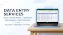 do data entry, excel, copy paste and python assignments