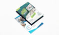design a professional flyer, postcards, and eddm postcards