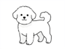 draw custom pet portrait in line art vector illustration
