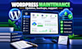 do monthly wordpress website maintenance, updates, backups and support