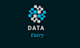 data entry data collection excel data entry