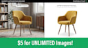 professionally remove background and unwanted objects from images