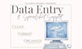 do accurate data entry and spreadsheet cleanup