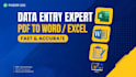 fast data entry, excel data entry and web research
