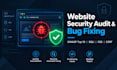 do a website security audit and bug fixing