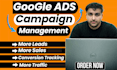 setup and manage your google ads adwords campaigns or audit