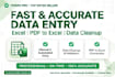 do data entry excel cleanup and pdf to excel conversion