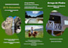 design professional bifold or trifold brochure print ready