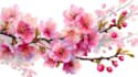 create custom flower and plant illustrations