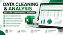 analyse, clean and visualise your data professionally