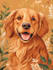 design a custom  pet portrait illustration