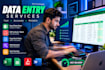 do expert data entry, data cleaning, and excel data analysis