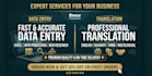 do expert data entry and professional translation