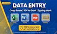 do data entry, copy paste, pdf to excel typing work