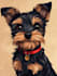 create disney pet portrait illustration