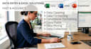 do professional data entry and excel expert task
