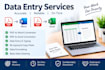 do accurate data entry, PDF to word and excel conversion