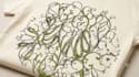make really detailed and unique floral arts and patterns