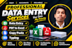 do professional data entry, copy paste, typing