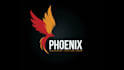 create  high  quality  bird  icon  logo design  for  your  brand
