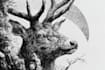 create unique pen and ink illustrations