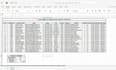 provide professional data cleanup, advanced excel