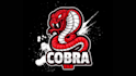 design  high  quality  snake  logo  and  serpent  mascot