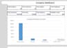 create professional excel spreadsheets and  reports
