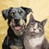 draw a cartoon pet portrait from photo