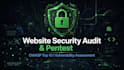 do wordpress vulnerability scan and security audit