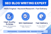 write SEO blog posts and website content