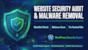 do website security audit and malware blacklist check