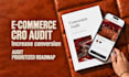 audit your ecommerce website and create a conversion roadmap