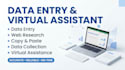 do professional data entry and web search