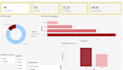 make data visualisations for you clean data and make models for you