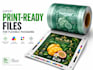 prepare flexo gravure and offset prepress print ready files