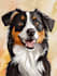 design a custom  portrait illustration